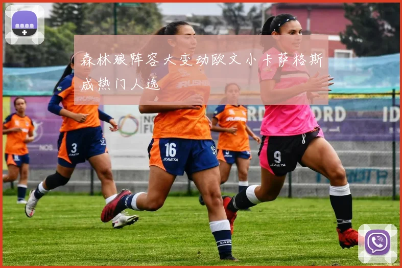 森林狼阵容大变动欧文小卡萨格斯成热门人选