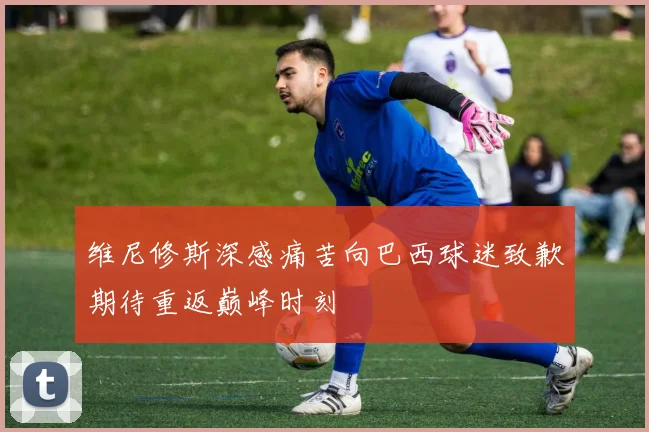 维尼修斯深感痛苦向巴西球迷致歉期待重返巅峰时刻