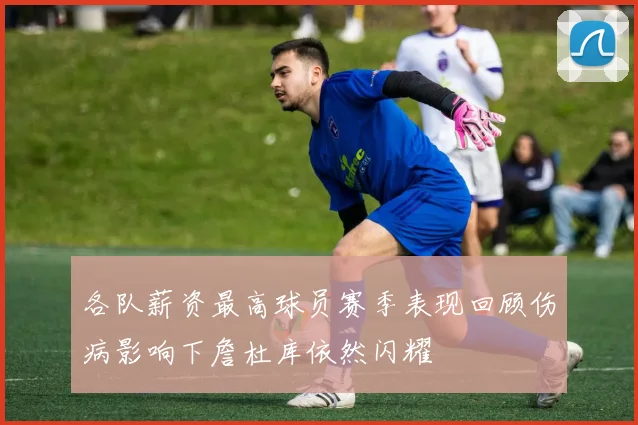 各队薪资最高球员赛季表现回顾伤病影响下詹杜库依然闪耀